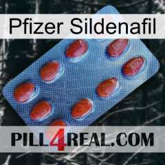 Pfizer Sildenafil 06